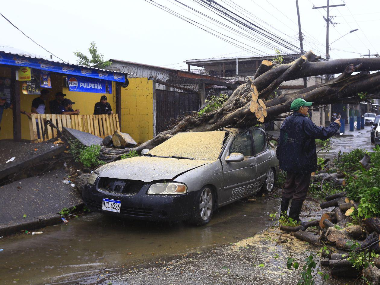 Lluvias causan daños y tienen en alerta a San Pedro Sula