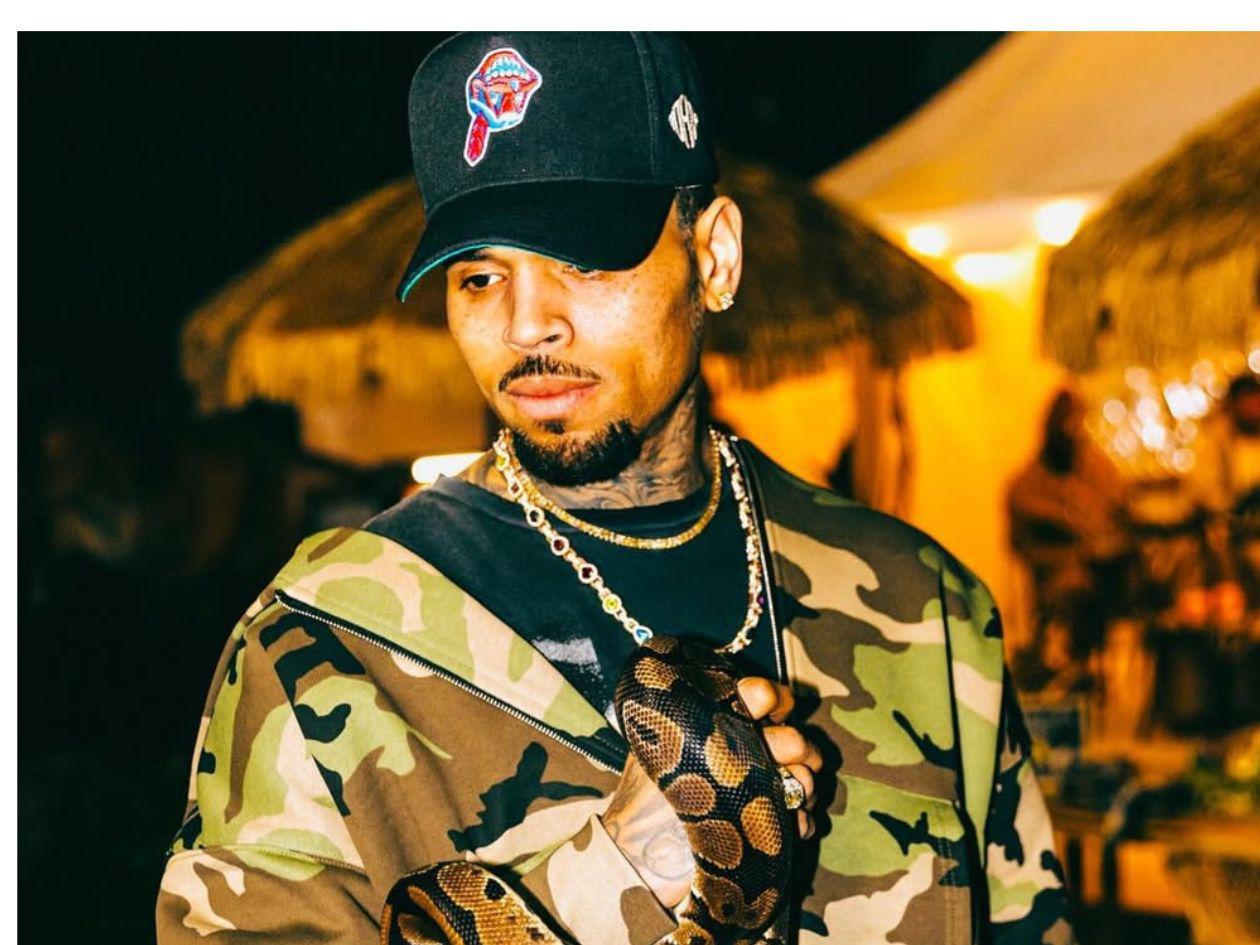 Chris Brown se declara no culpable de intento de agresión con una botella