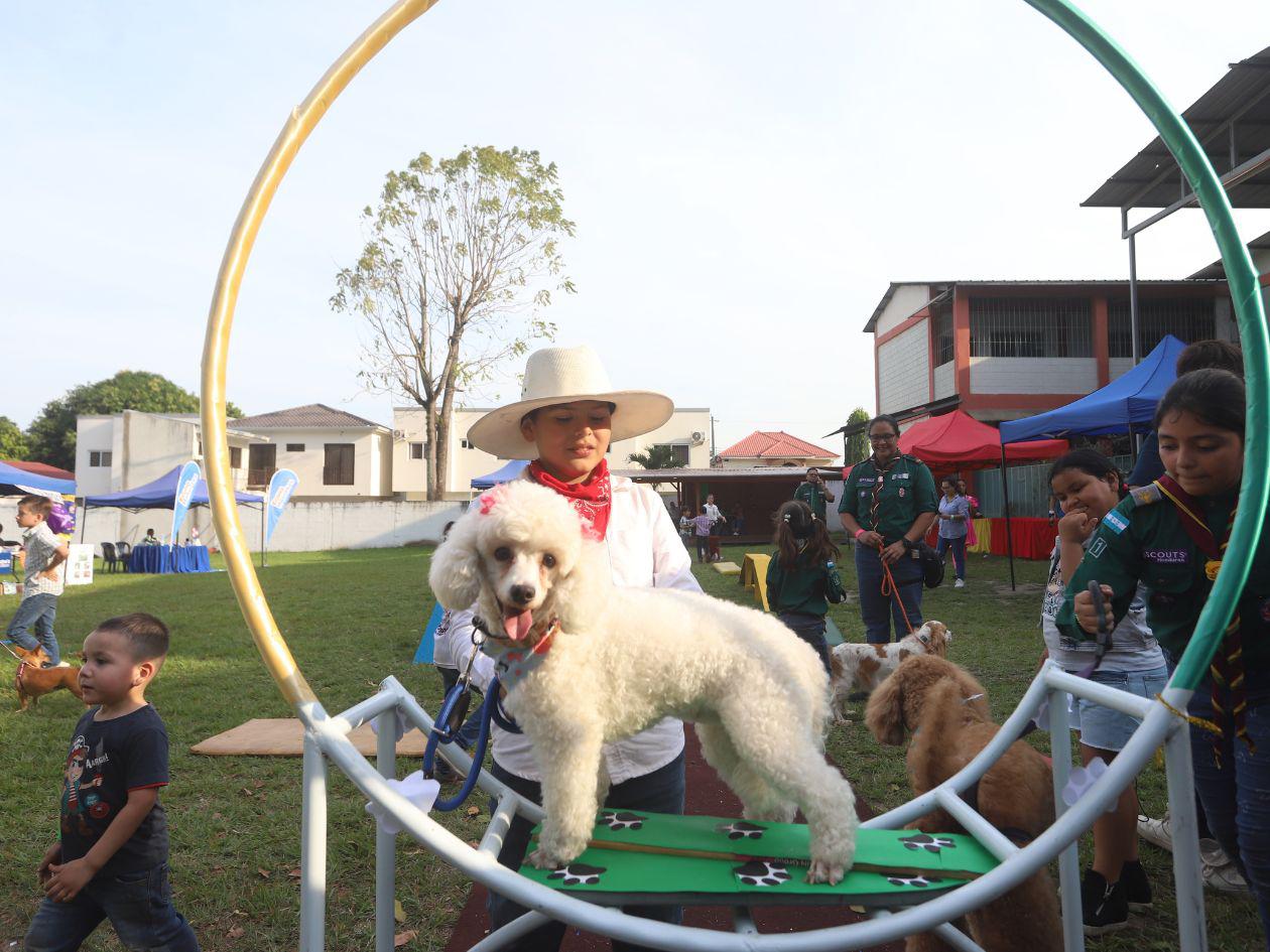 New Horizon realiza con éxito la Feria del Animalito