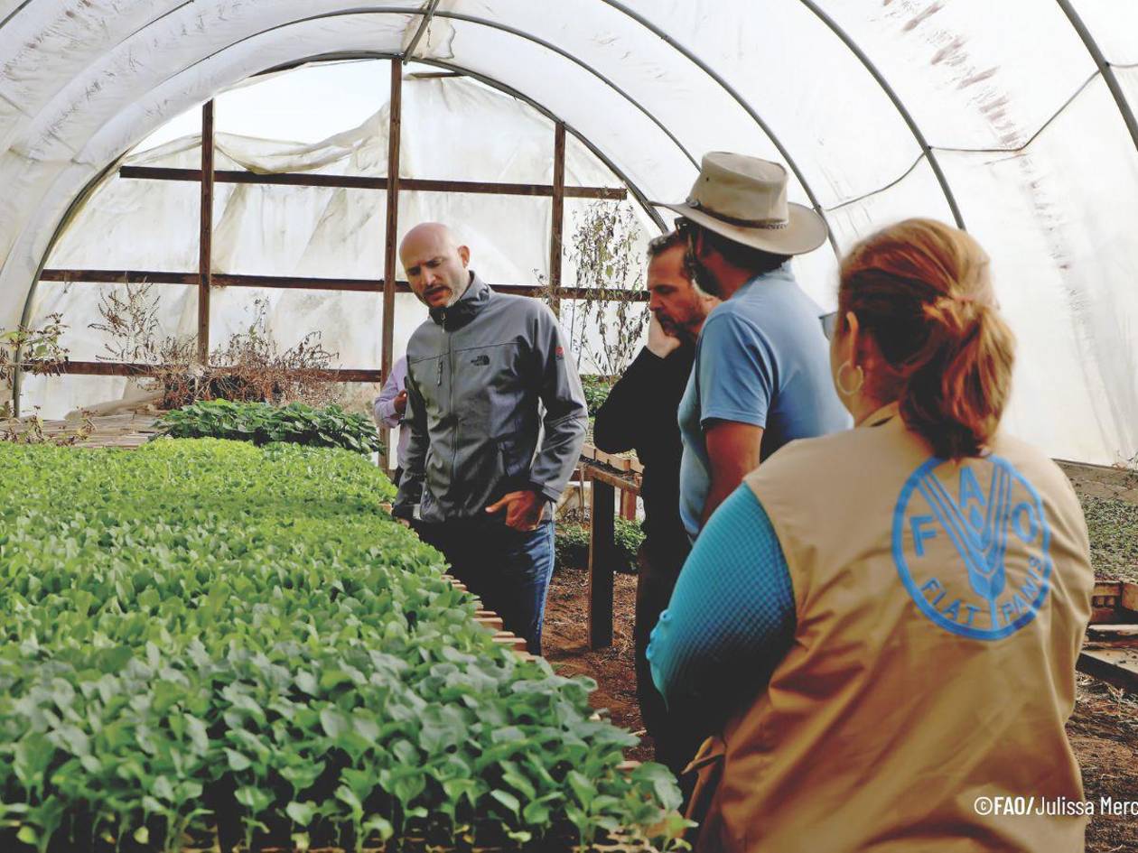 Con satélites e IA  buscan prevenir plagas en el agro