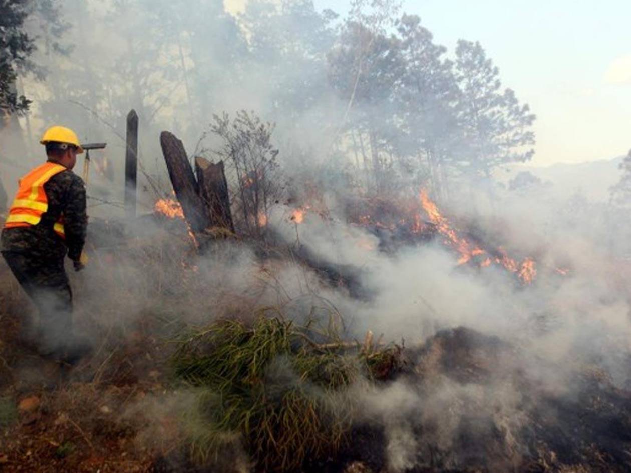 Honduras: incendios dejan más de 15,700 hectáreas afectadas en lo que va de 2025