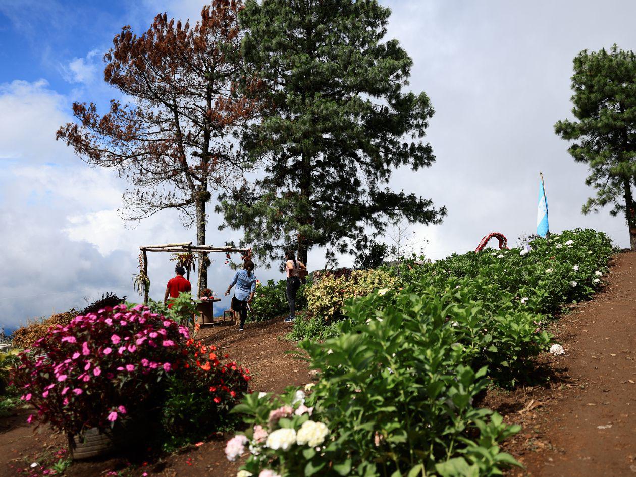 San Pedro Sula guarda en silencio un secreto geográfico real: detrás del asfalto y el calor, la “Capital Industrial” descansa sobre una vasta base de bosque y altura que define su equilibrio ambiental y su futuro hídrico.