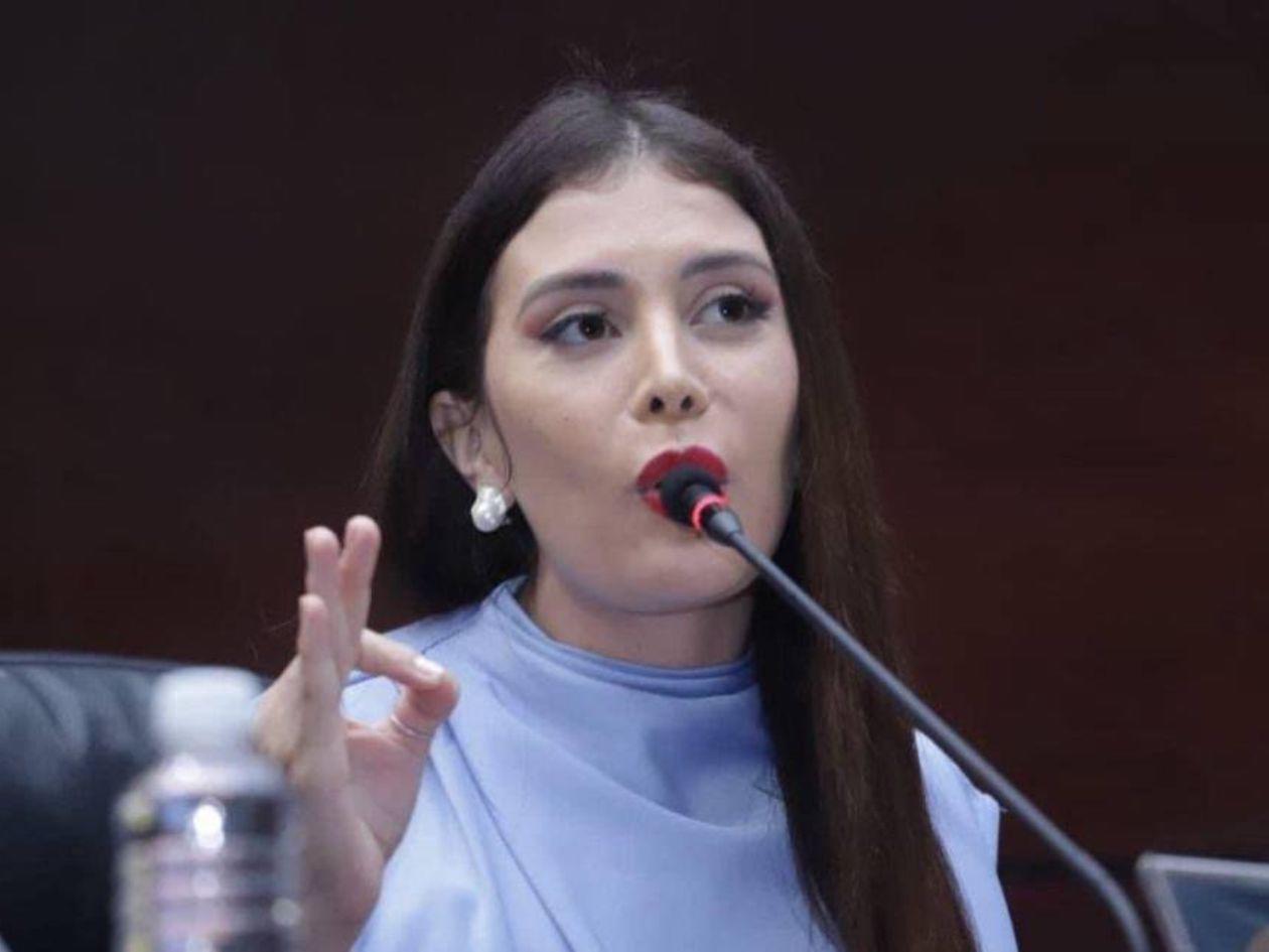 Imágenes de Iroshka Elvir con camisa ¡Cobro sin ir a trabajar! son un montaje