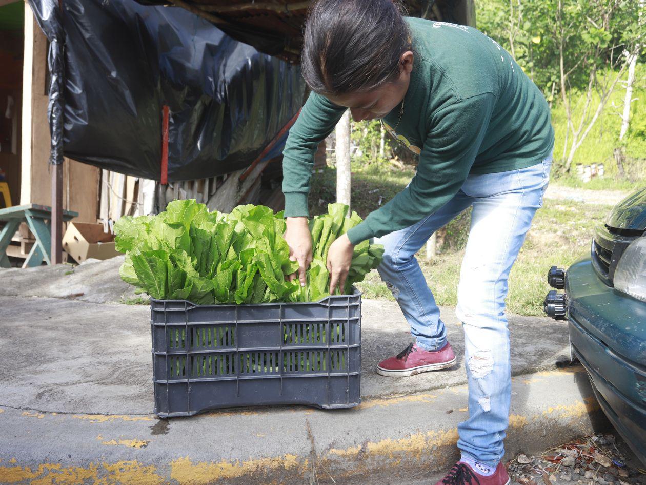 Sonia salió a vender el jueves 21, los manojos de mostaza que también le ayudaban a vender sus niños. Con 20 ramitos hace L400 diarios, pero debe restar el pago de transporte y al proveedor.