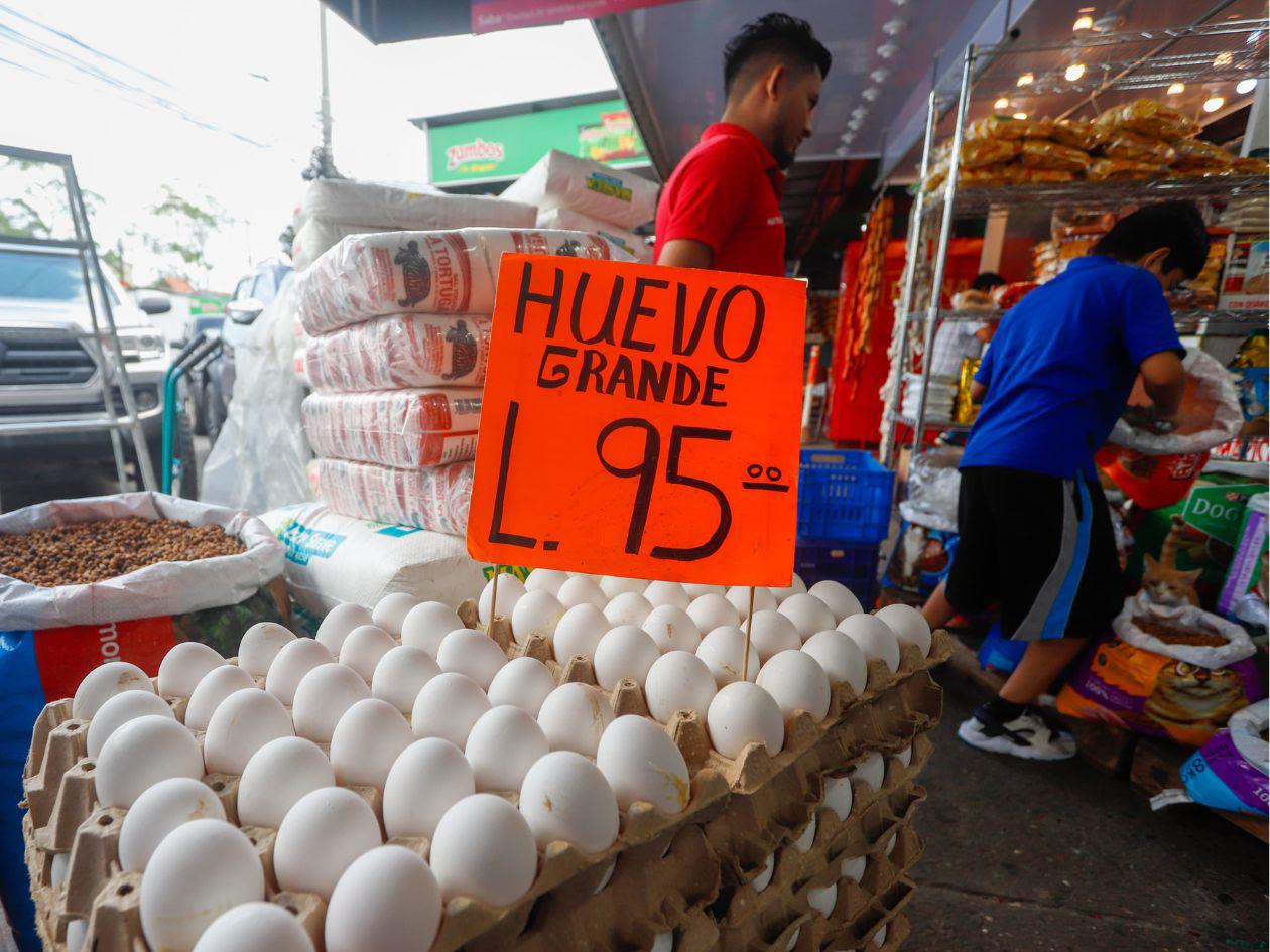 Honduras con suficiente producción de huevos para la demanda interna y exportación
