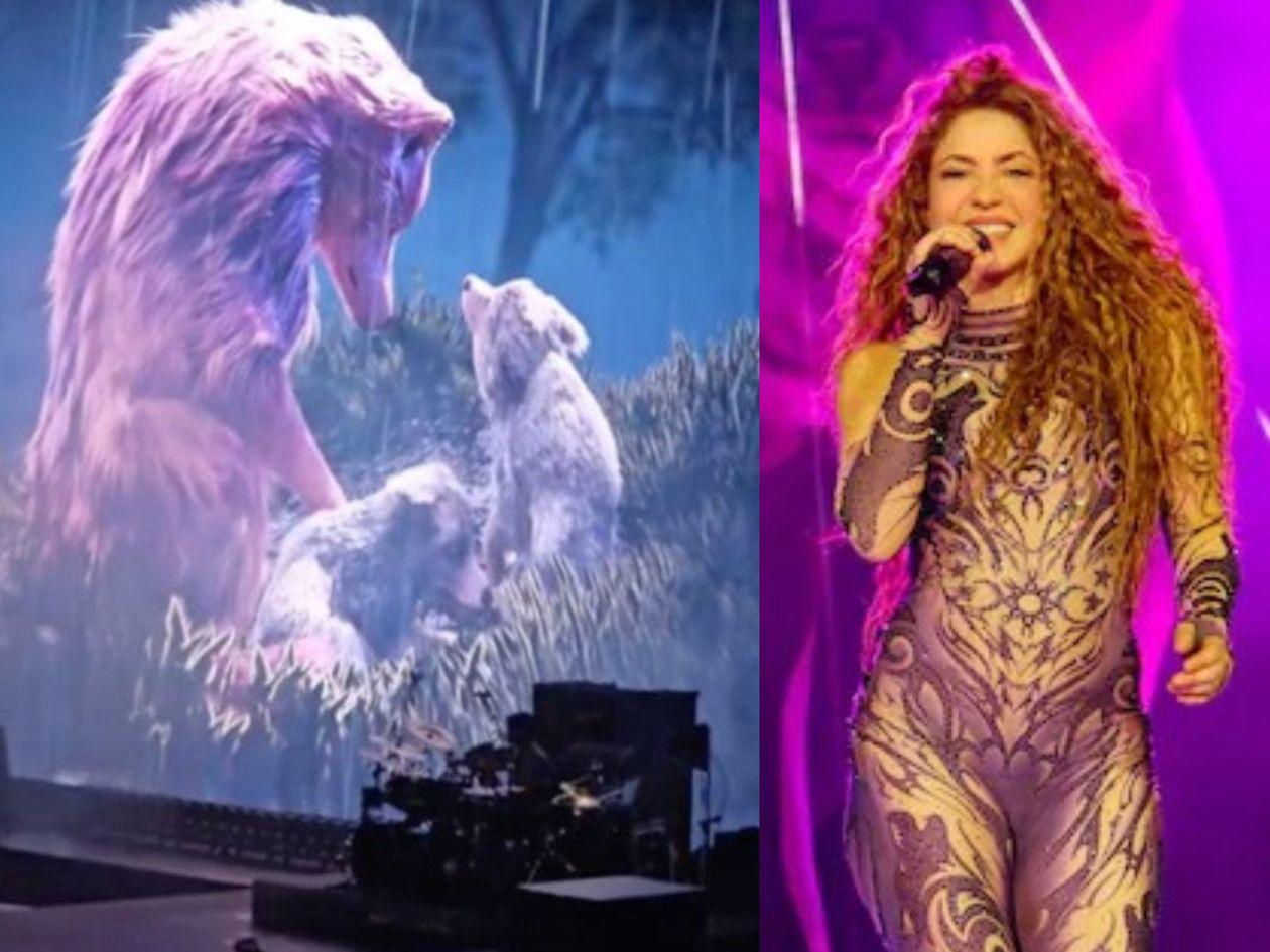 Shakira conmueve en concierto  con imágenes de una familia de lobos desintegrada