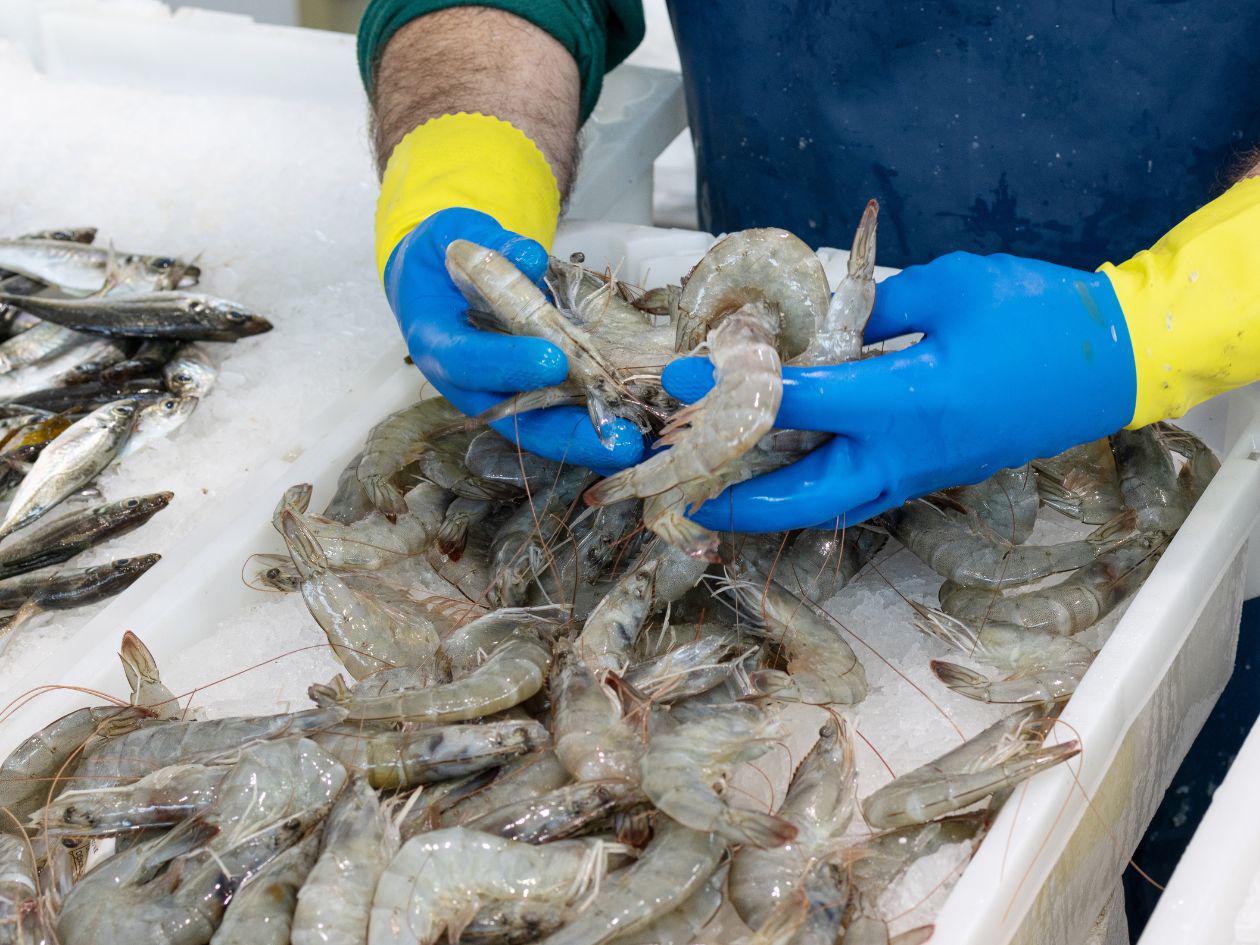 Honduras importa 71 veces más de lo que exporta a China