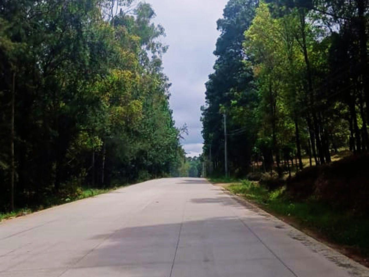 Otra vista de la vía pavimentada.