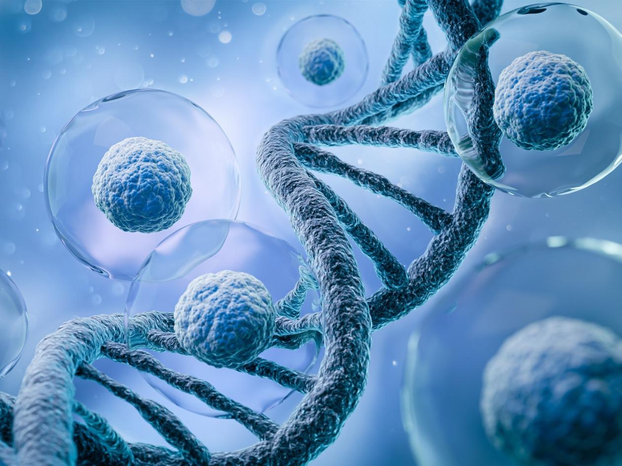 Análisis de huellas iniciales del cáncer permite anticipar su progresión