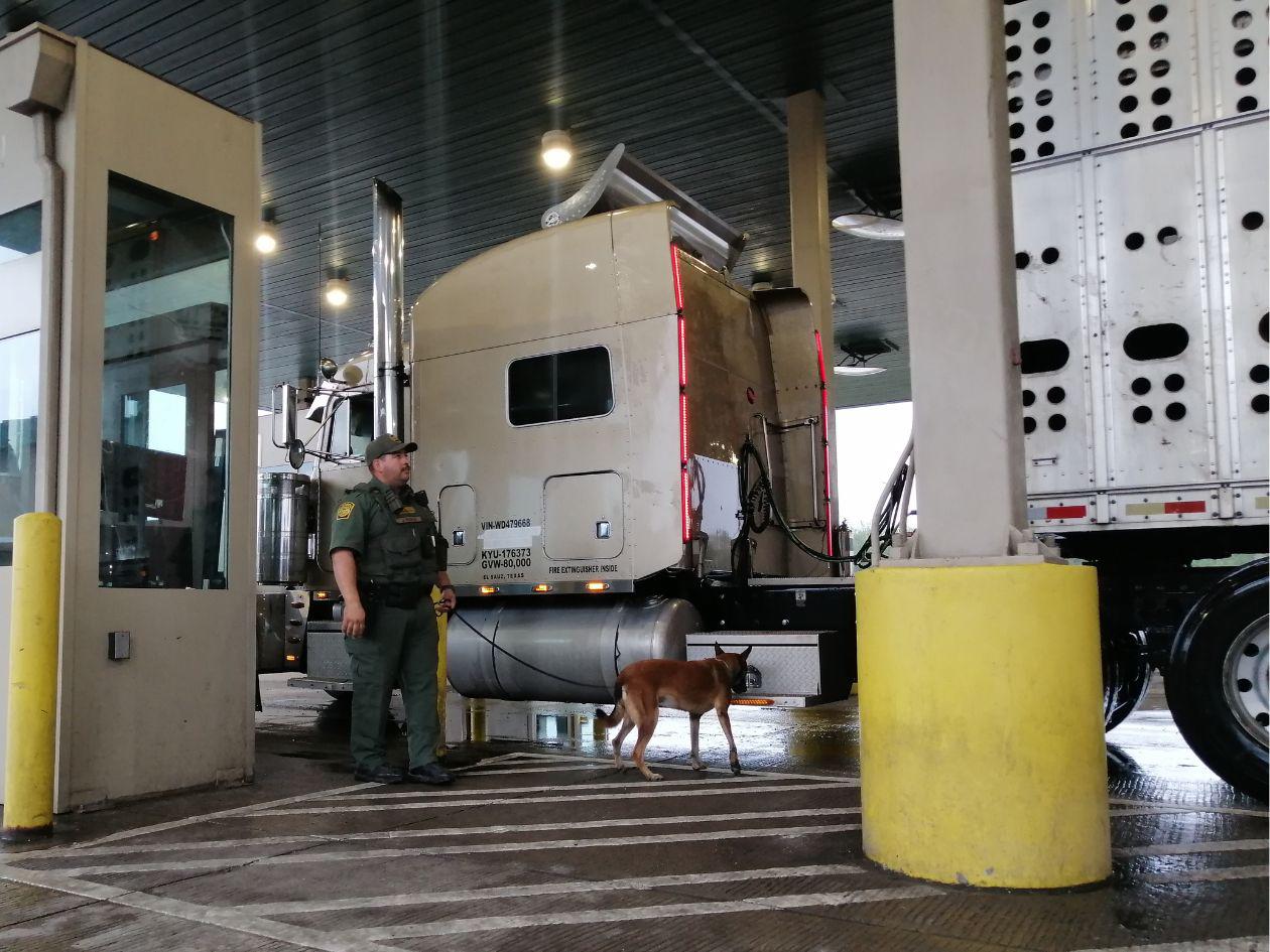 Trump expulsa a más hondureños que Biden en los primeros 100 días