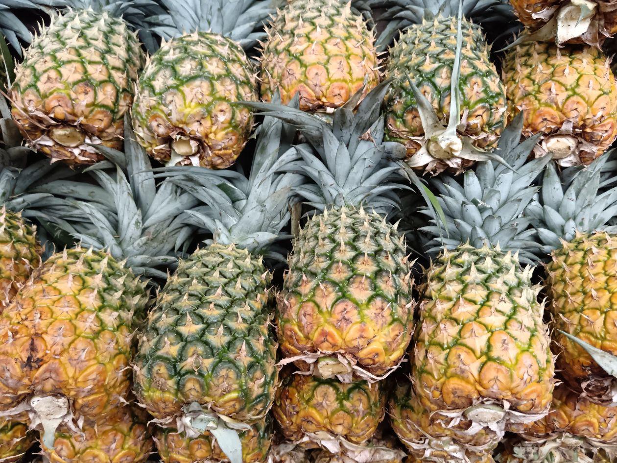 Bajan las exportaciones de piña  de Honduras frente a un mercado en auge