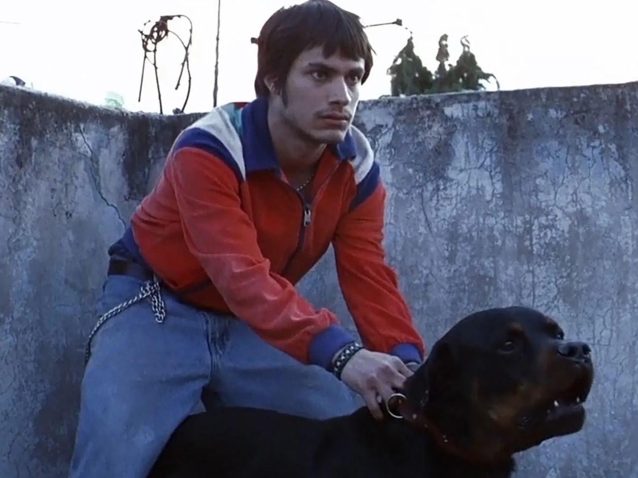 La película ‘Amores Perros’ celebrará 25 años con histórica función