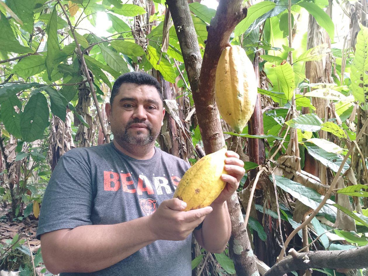 Honduras debe producir más cacao para aprovechar los precios históricos