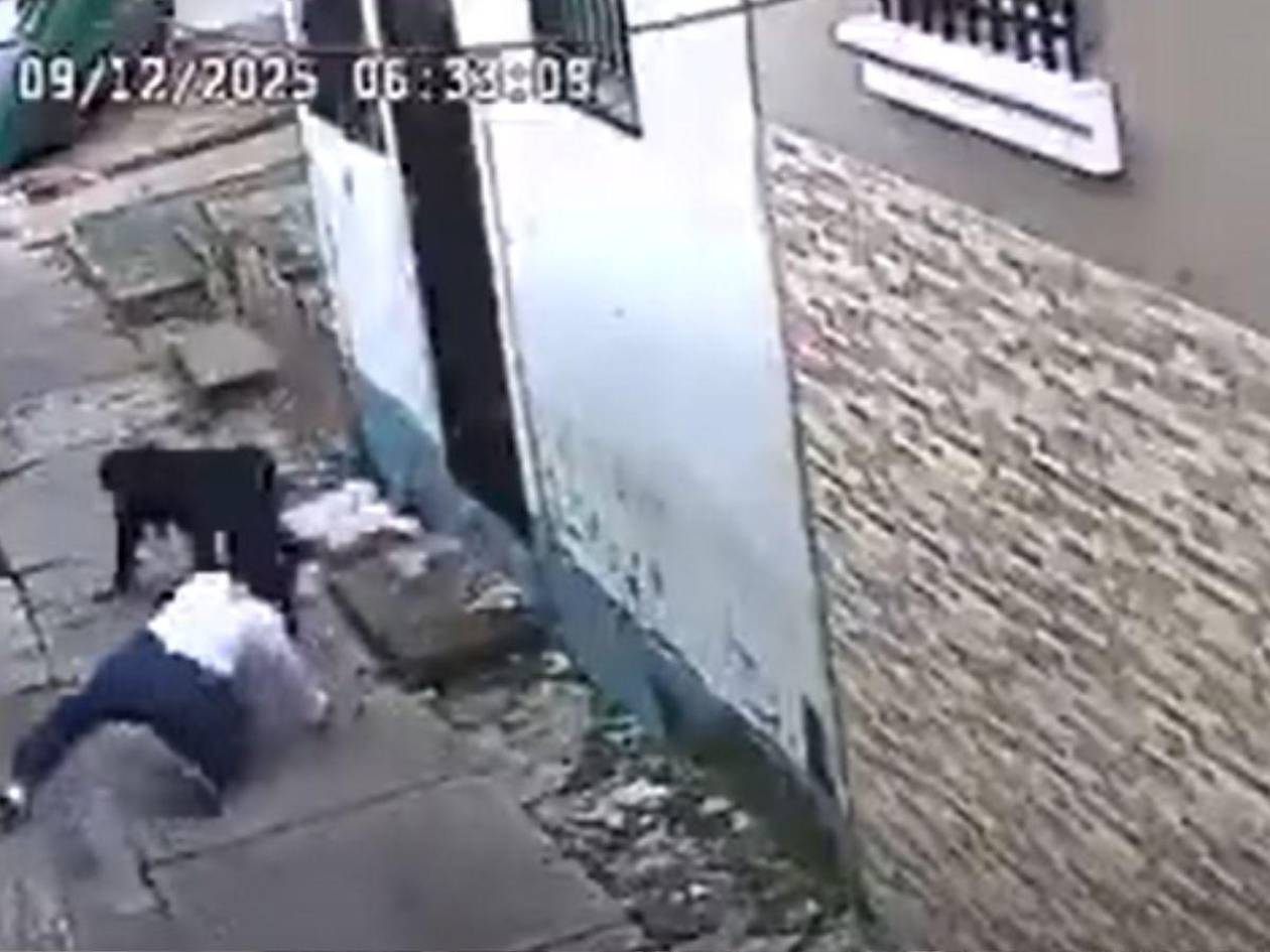 Video: así fue el brutal asalto a mujer en Tegucigalpa; la arrastraron en plena calle