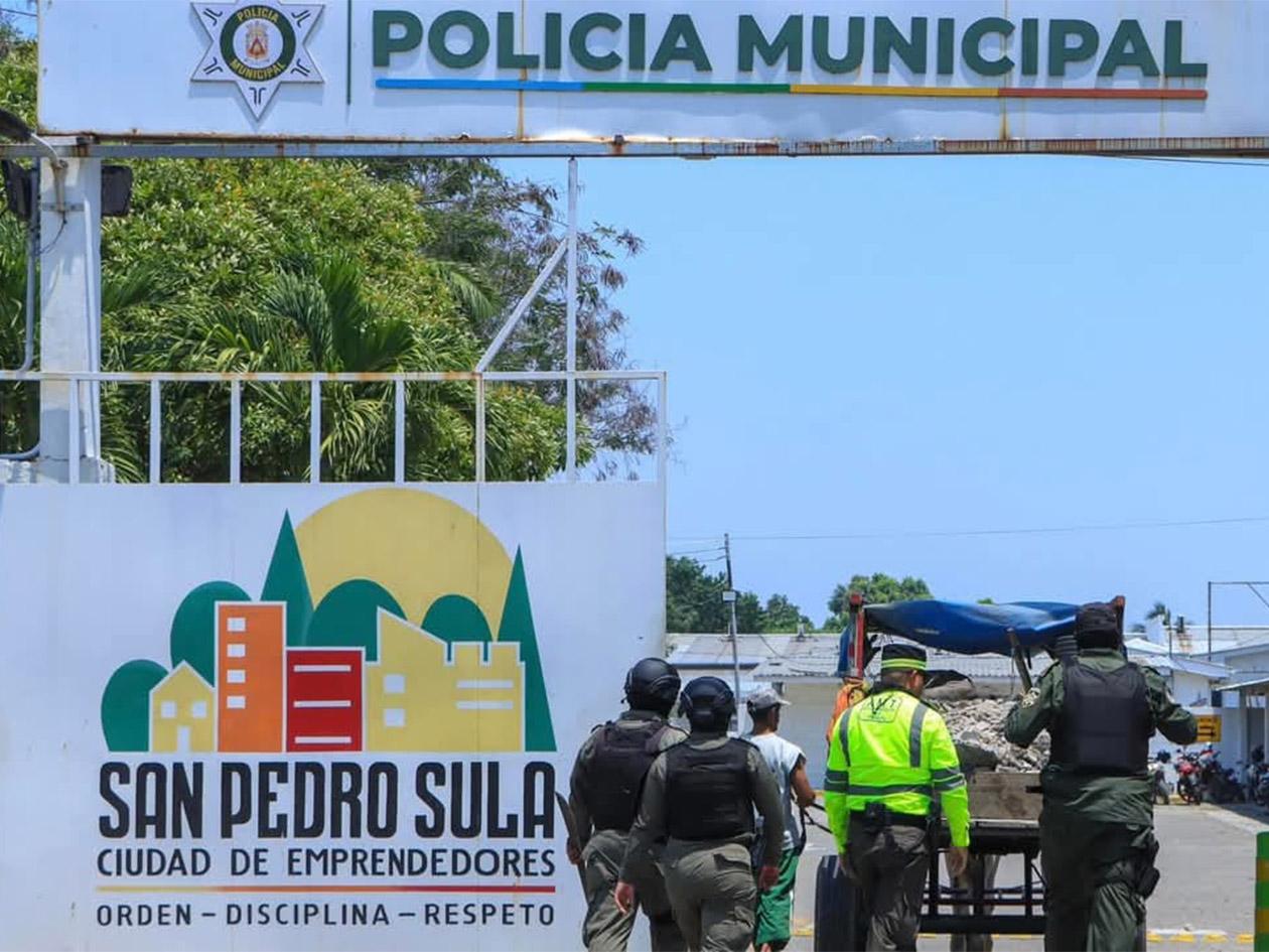 San Pedro Sula refuerza regulación sobre el trato y circulación de animales en la ciudad