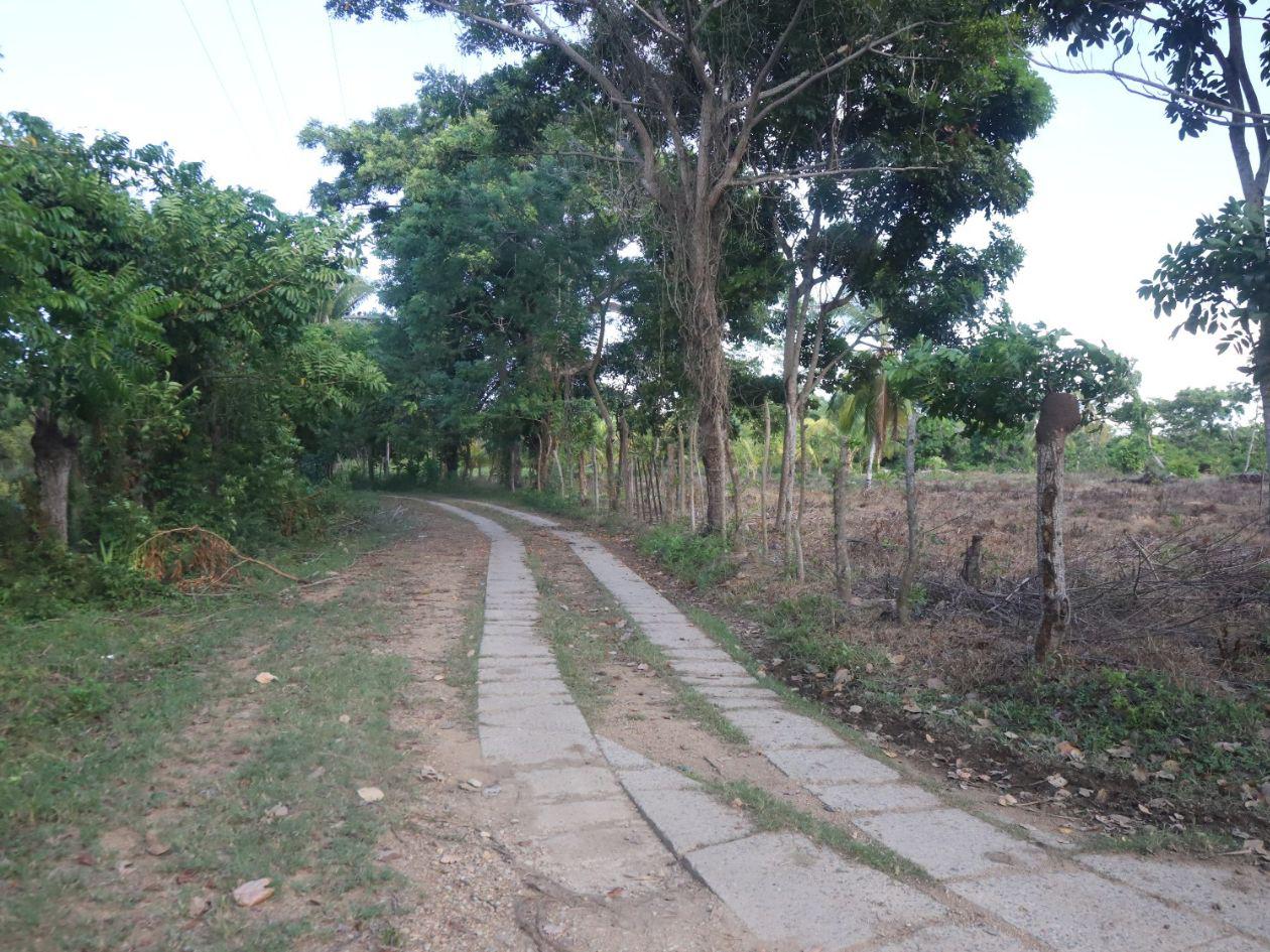 Los garífunas sostienen que no pueden calificar sus acciones como invasión, sino como una reinvindicación histórica de sus tierras.