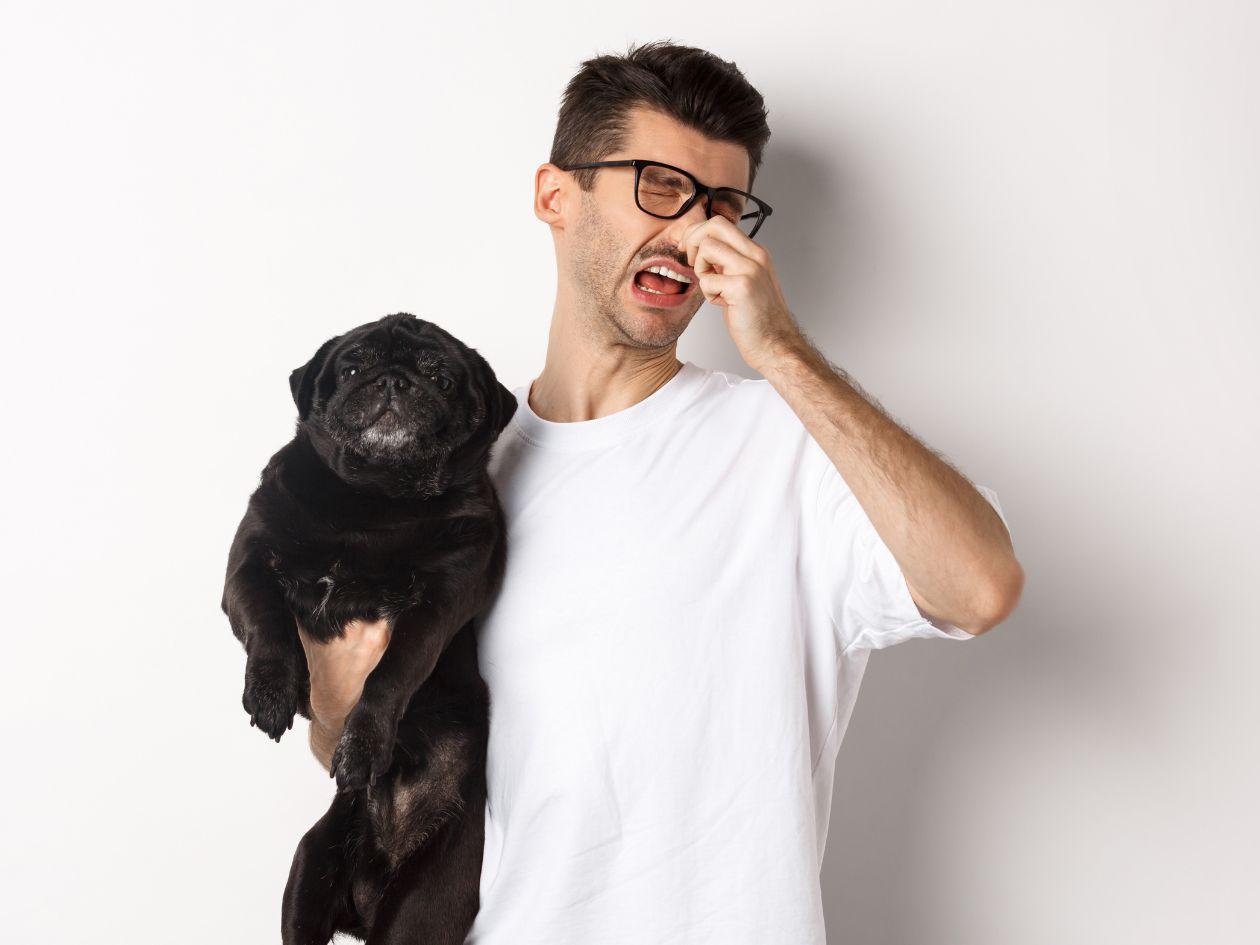 ¿Por qué algunas personas no sienten afinidad con los perros?