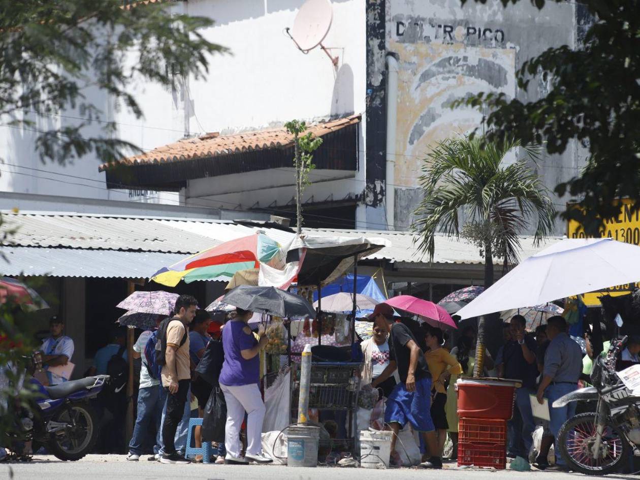 Más de L70 millones detectan en cuentas bancarias de Koriun