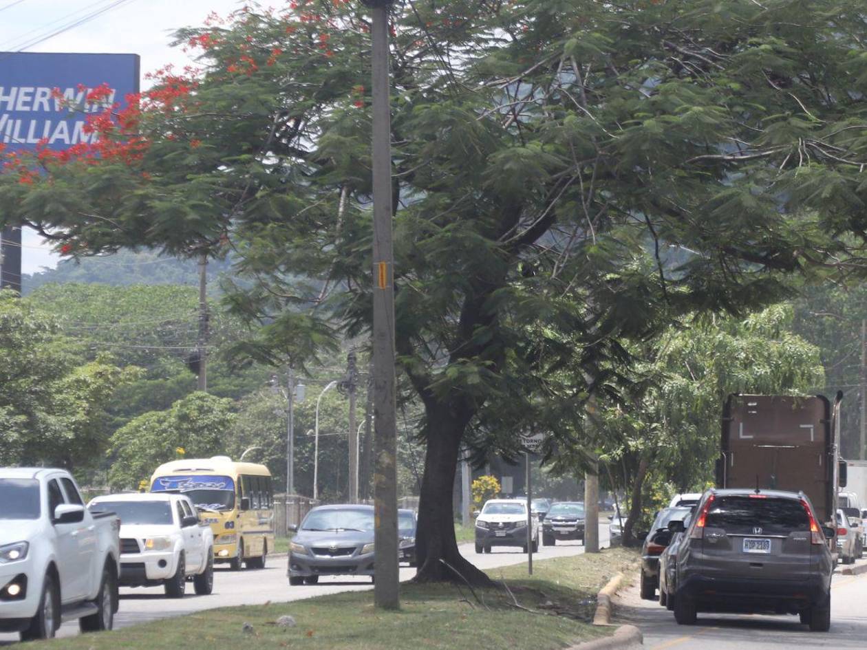Caos en bulevar del sur exige obras urgentes y soluciones definitivas