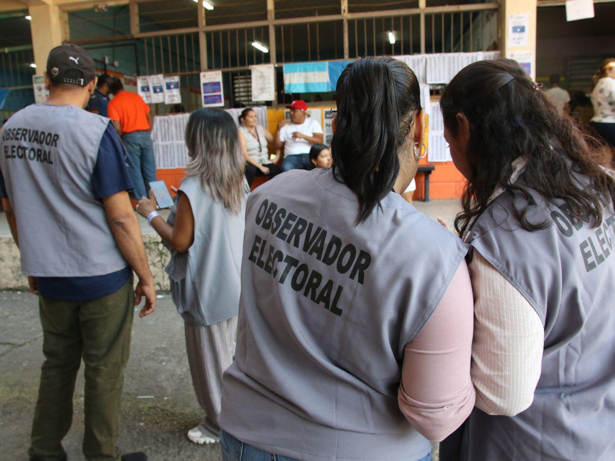 Elecciones 2025: Más de 6,300 observadores acreditados por 68 organizaciones