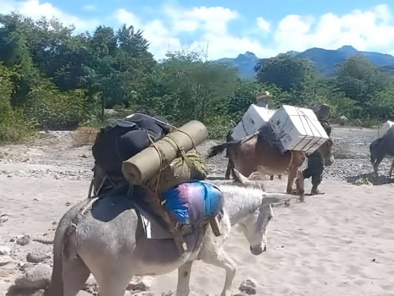 En lanchas y asnos trasladan material electoral en zonas rurales de Honduras