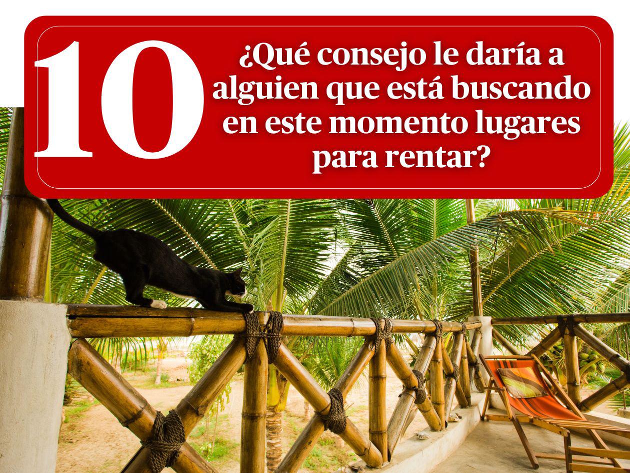 ¿Cómo hacer una reserva segura en Airbnb este feriado Morazánico? Experta lo explica