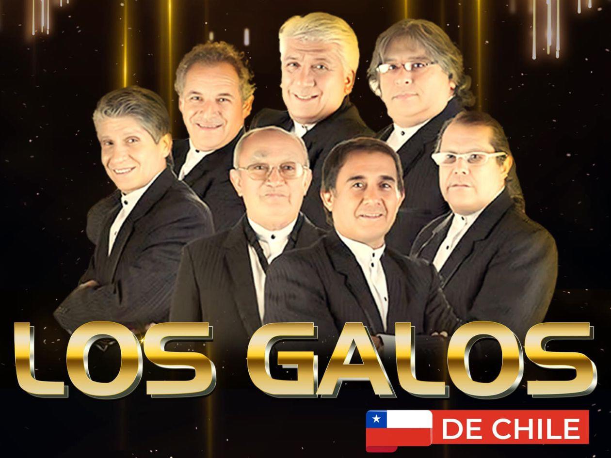 Los Galos de Chile llegan al país a celebrar a las madres hondureñas