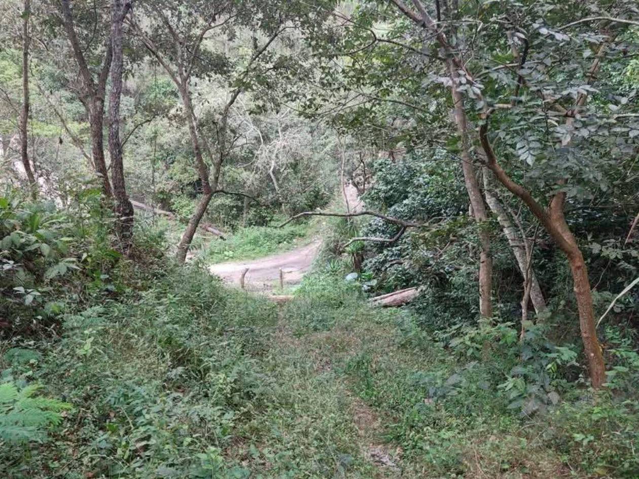 Salieron a dar una vuelta: menor muere tras violento ataque en finca de café en Lempira