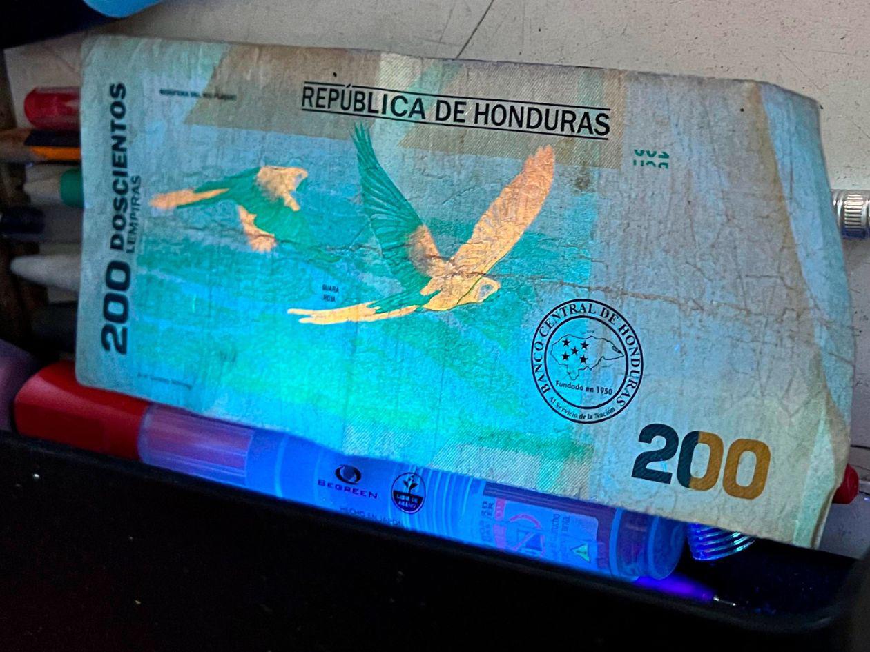 La guacamaya se ve reluciente cuando pasa por los rayos ultravioleta de las máquinas para la detección de billetes falsos. Si brilla, es legítimo.