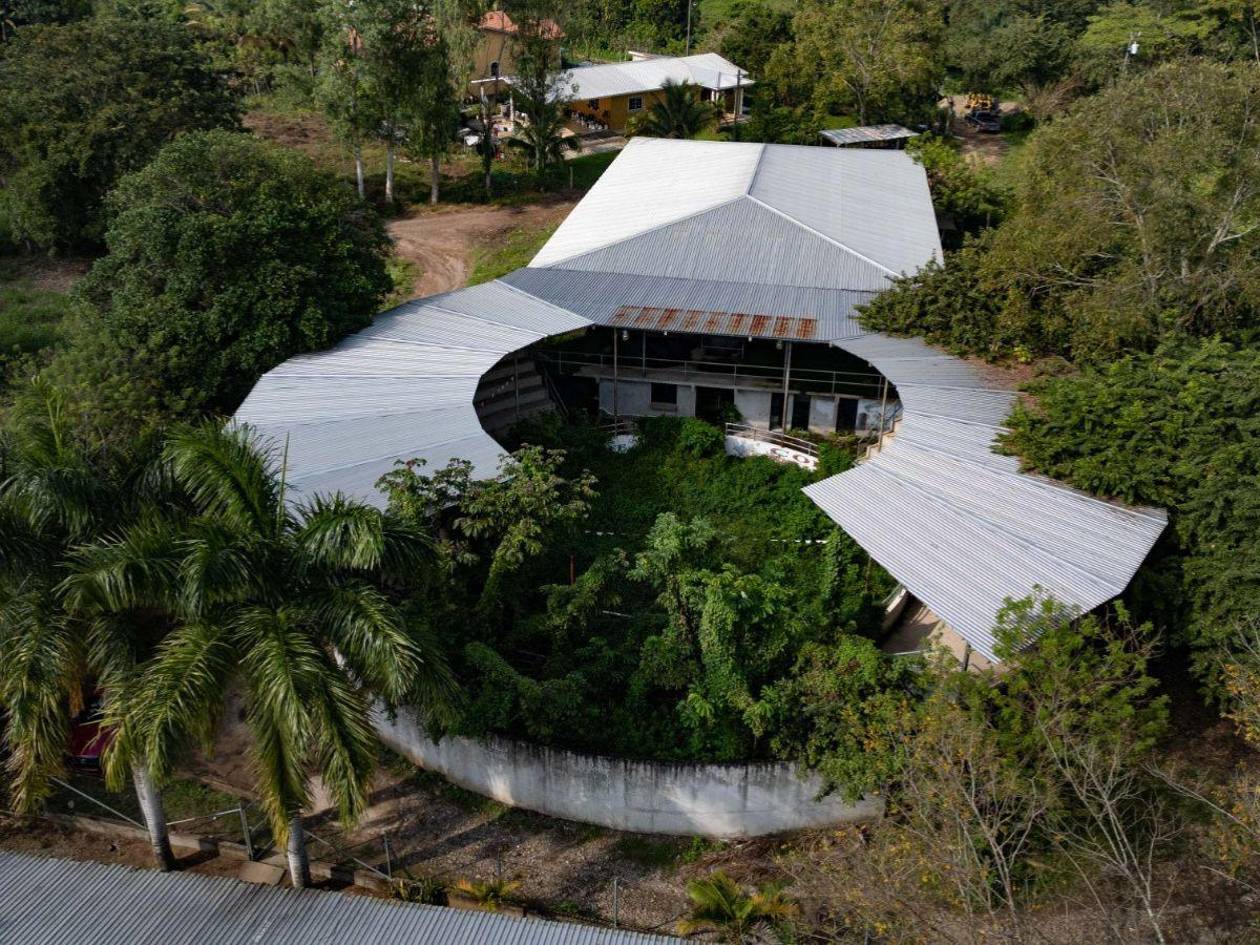 $!Bienes de narcos condenados en USA en el limbo: ¿podrían ser devueltos?