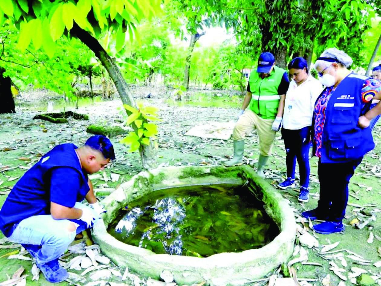 Advierten alza de casos de dengue con lluvias y piden eliminar criaderos