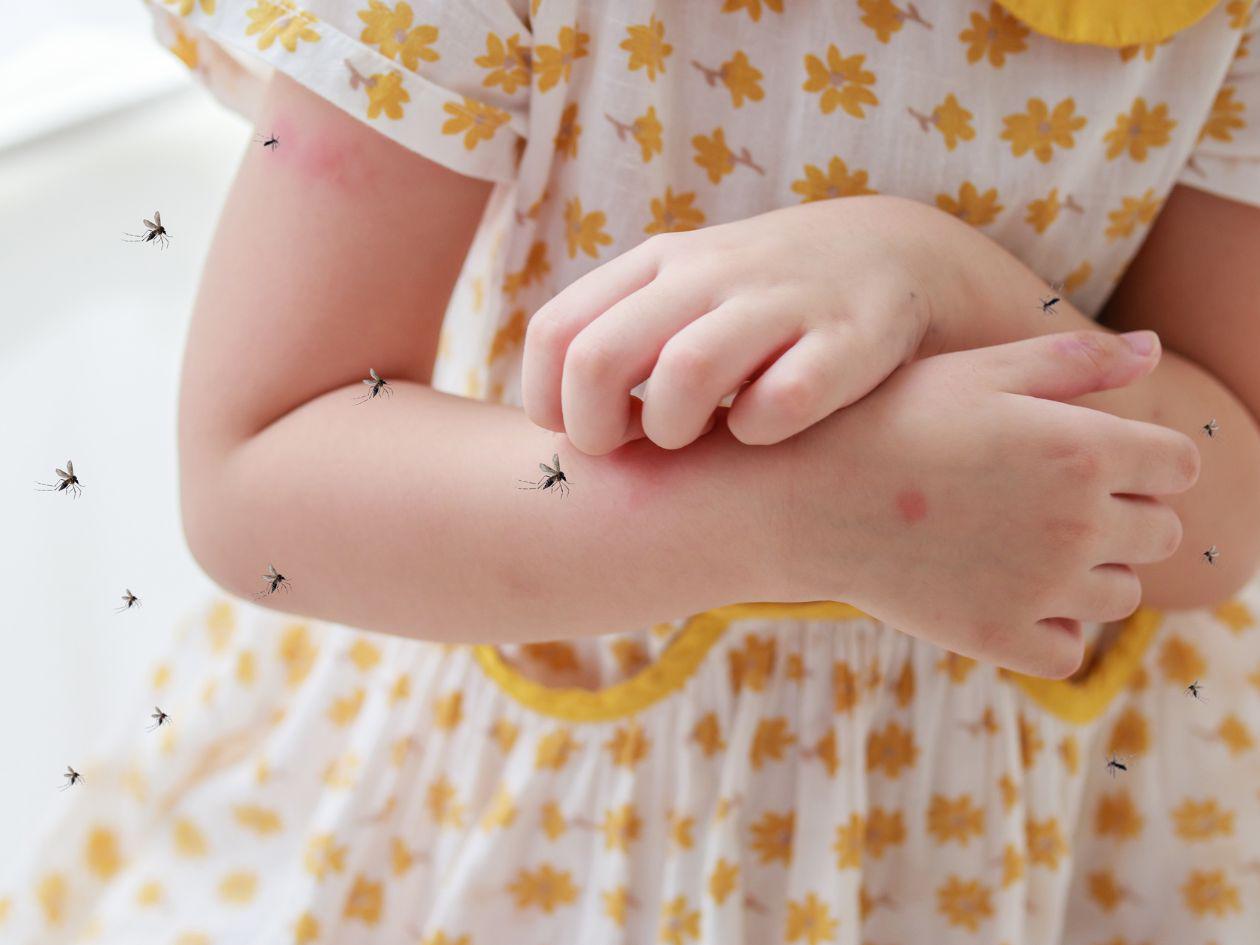 Salud confirma siete casos sospechosos de chikungunya tras alerta de la OPS