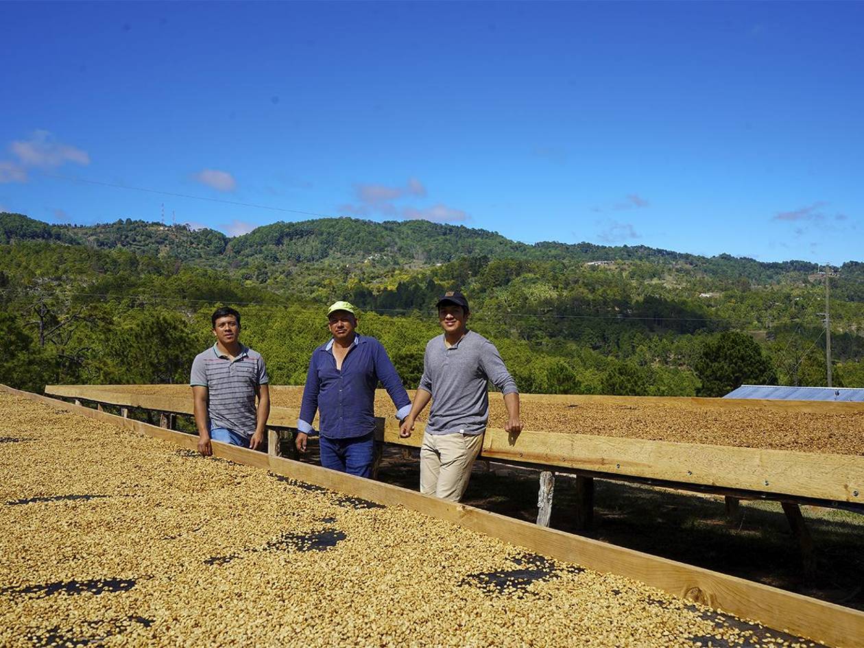 Fomentar la participación juvenil es clave para el futuro del café en Honduras