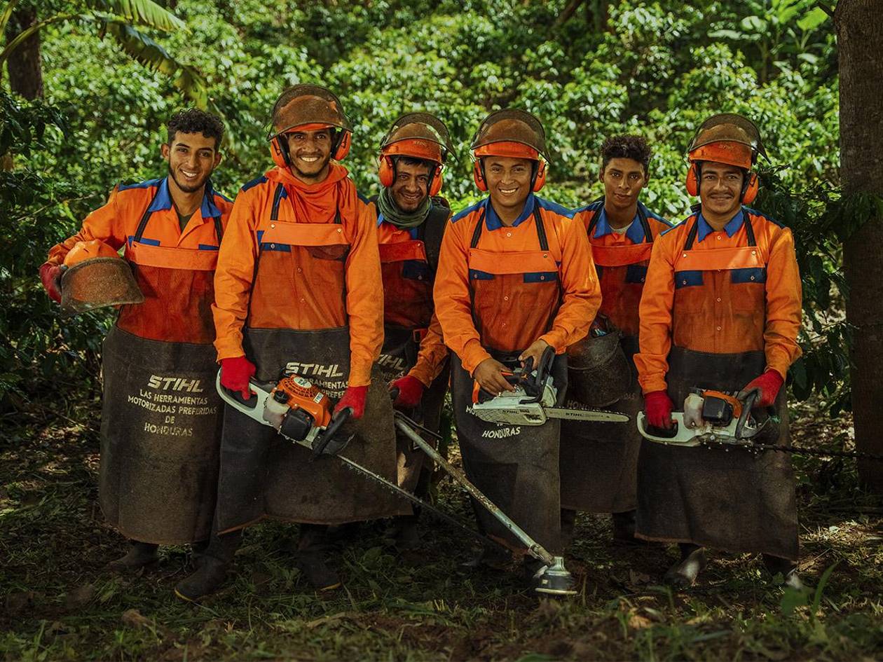 Cuadrillas de SYMA: Innovación y empleo para el futuro del café hondureño