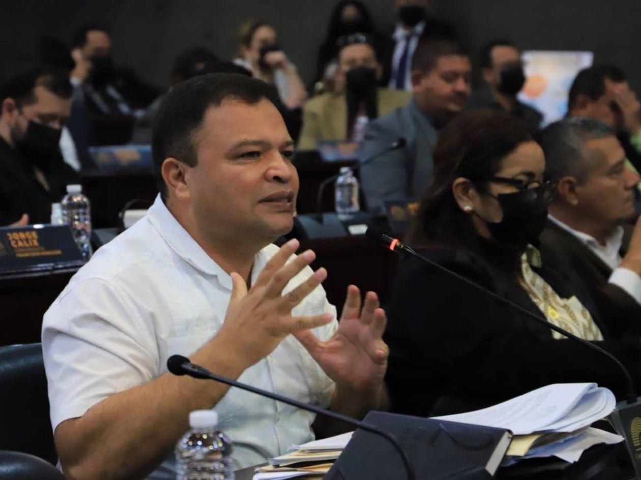 Constitución no exige que el CNE incluya a los tres partidos más votados, pese a lo que dice Jari Dixon