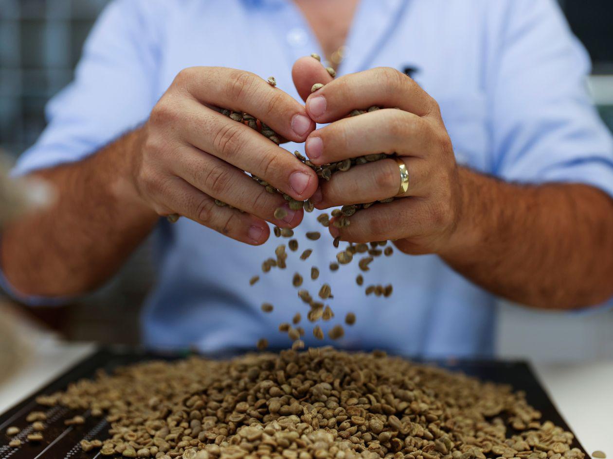 Los estadounidenses y alemanes, los que más disfrutan el café hondureño