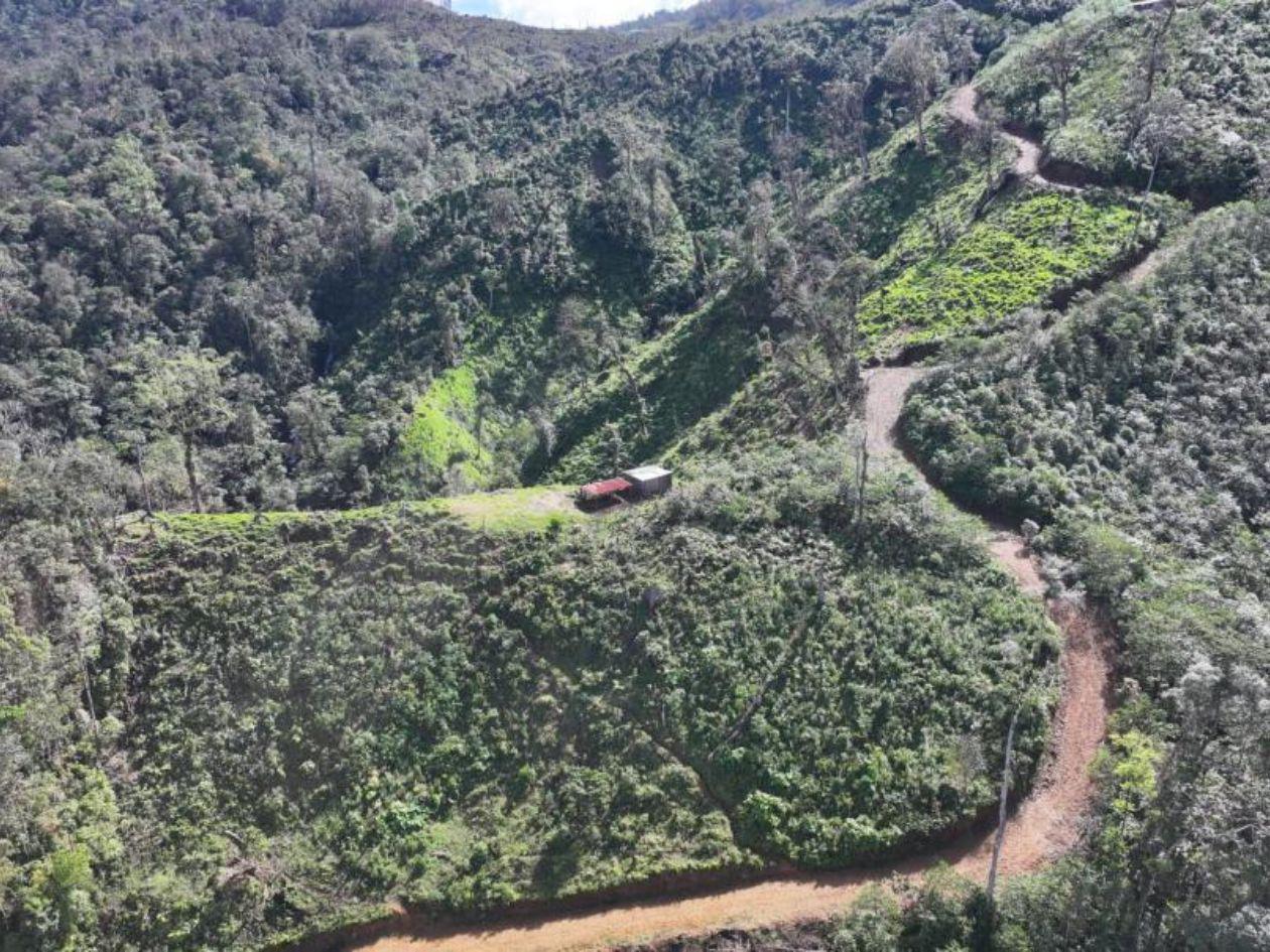 Cuadrillas comunitarias para evitar incendios forestales