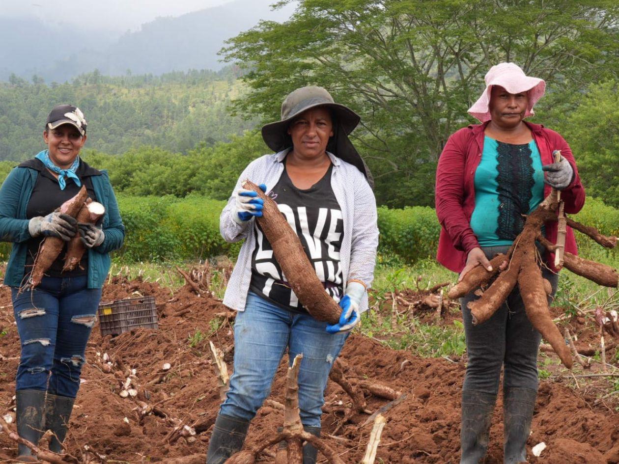 Honduras saca a más de un millón de personas de la inseguridad alimentaria