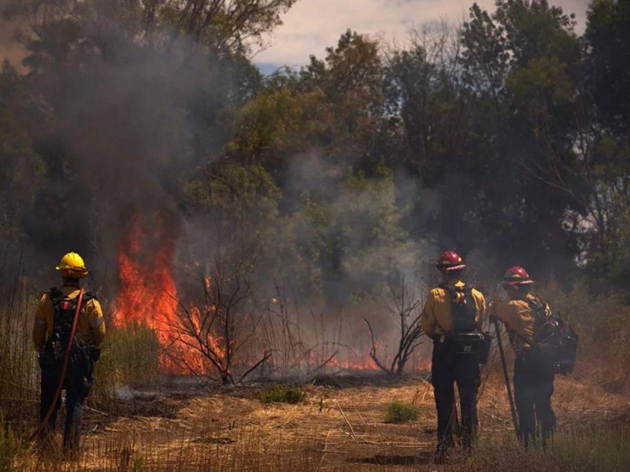 Dos bomberos que apagaban un incendio fueron arrestados por agentes migratorios en EEUU