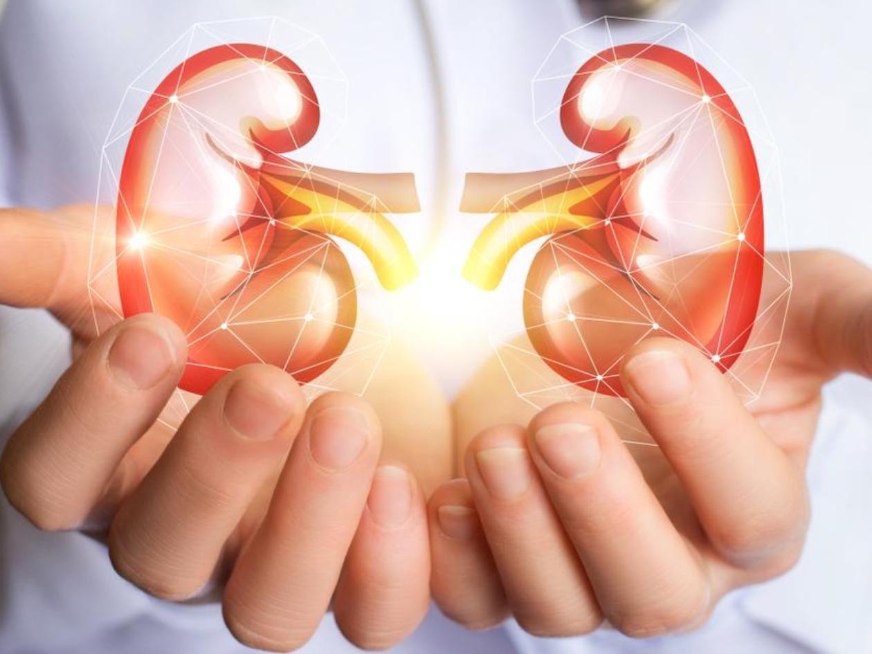 La importancia de la salud renal: prevención de enfermedades
