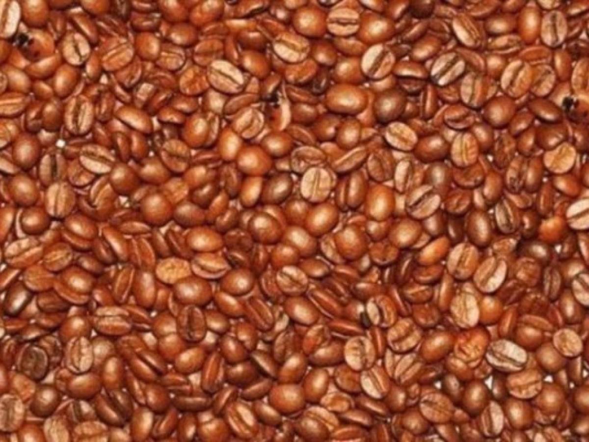 ¿Puedes encontrar los tres bebés entre los granos de café?