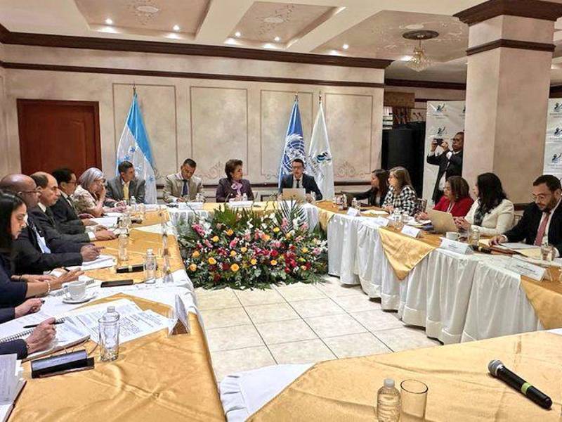 Reunión con el subcomité de Naciones Unidas para la Prevención de la Tortura y otros Tratos o Penas Crueles, Inhumanos o Degradantes en el país.