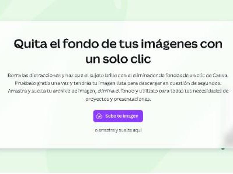 Transparencia que cautiva: 5 tendencias en imágenes sin fondo