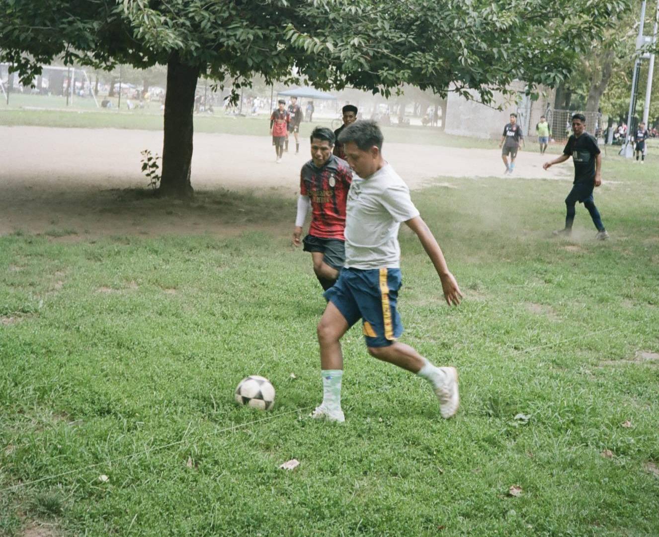 $!En uno de los campos de futbol del Parque Flushing Meadows Corona, los jugadores deben eludir un árbol.