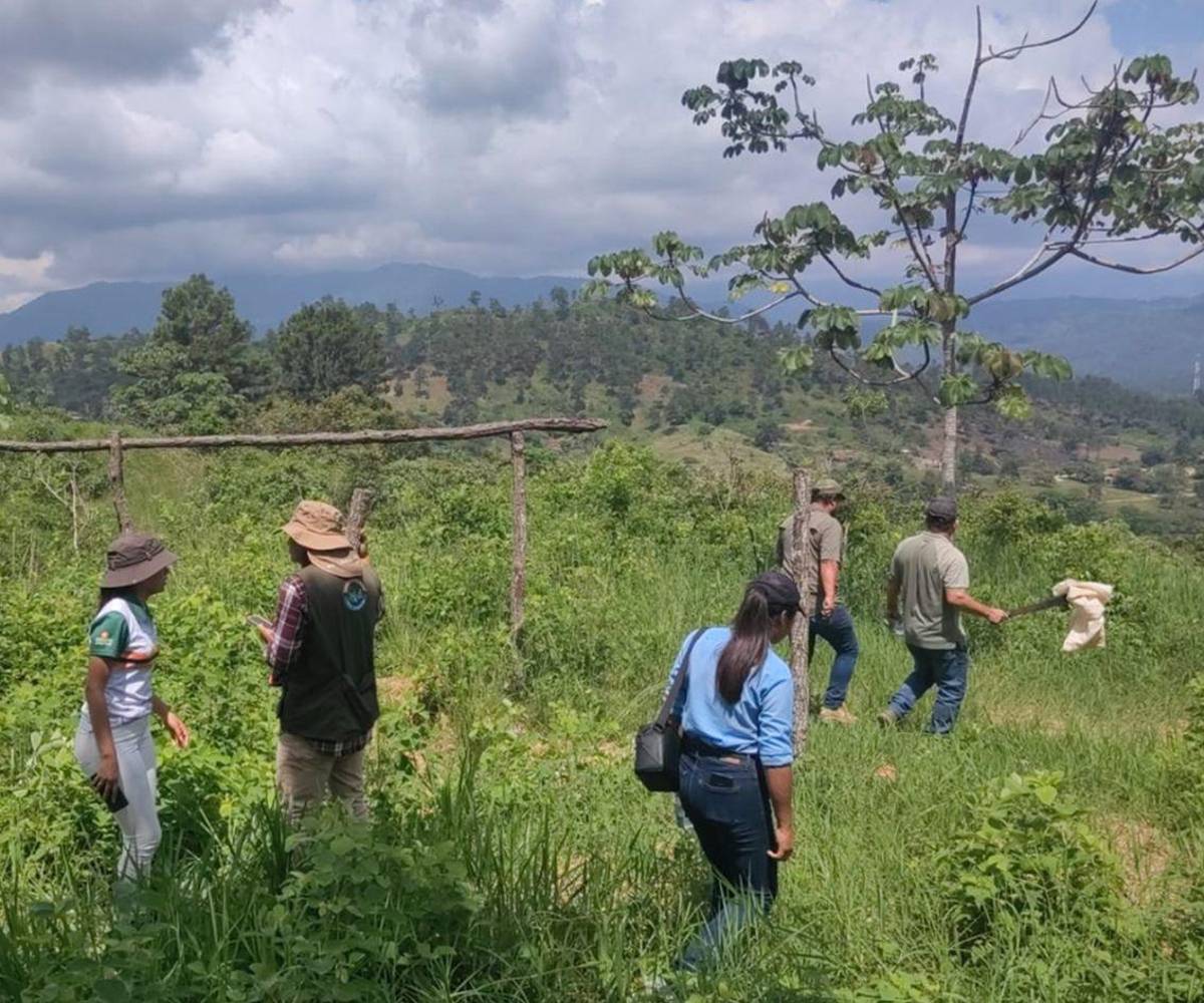 ¿Y si Quimistán no fuera un valle... sino un cráter de impacto asteroidal?