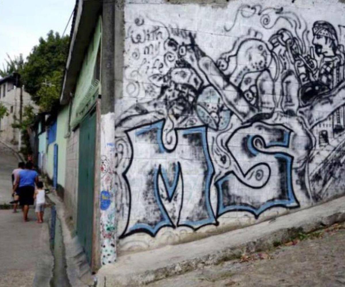 La Mara Salvatrucha es el principal socio en Hodnuras del cartel Jalisco Nueva Generación.