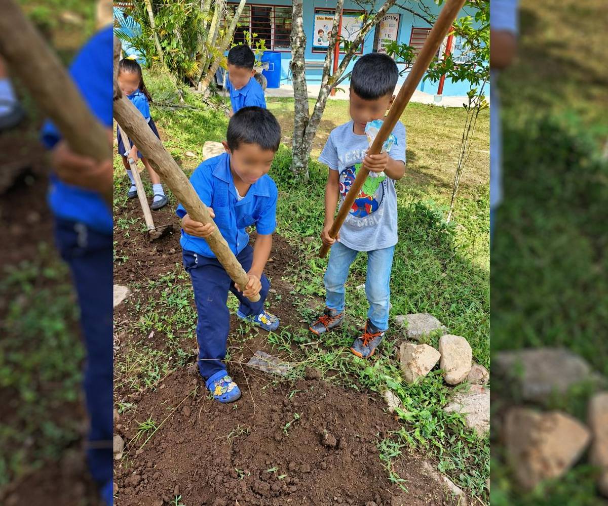 En las escuelas multigrado estudiantes de diferentes grados reciben clases por un mismo docente en una sola aula.