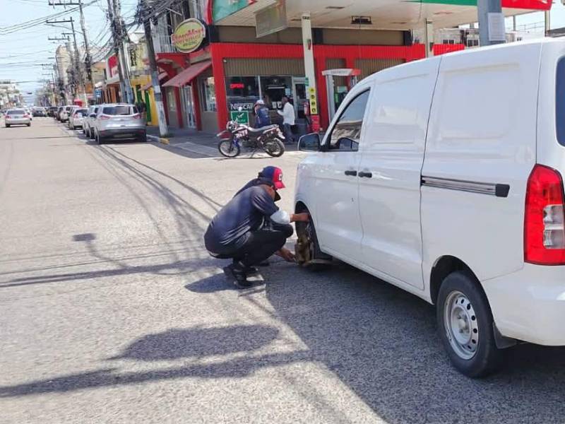 Los parqueos están remarcados y establecidos en las principales calles y avenidas de la ciudad, sin embargo siempre hay conductores que desobedecen y sus vehículos son inmovilizados.
