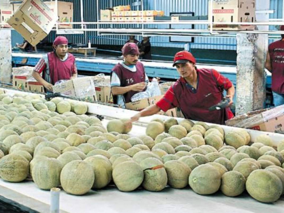 Honduras exporta contenedor con 1,820 cajas de melón a Taiwán