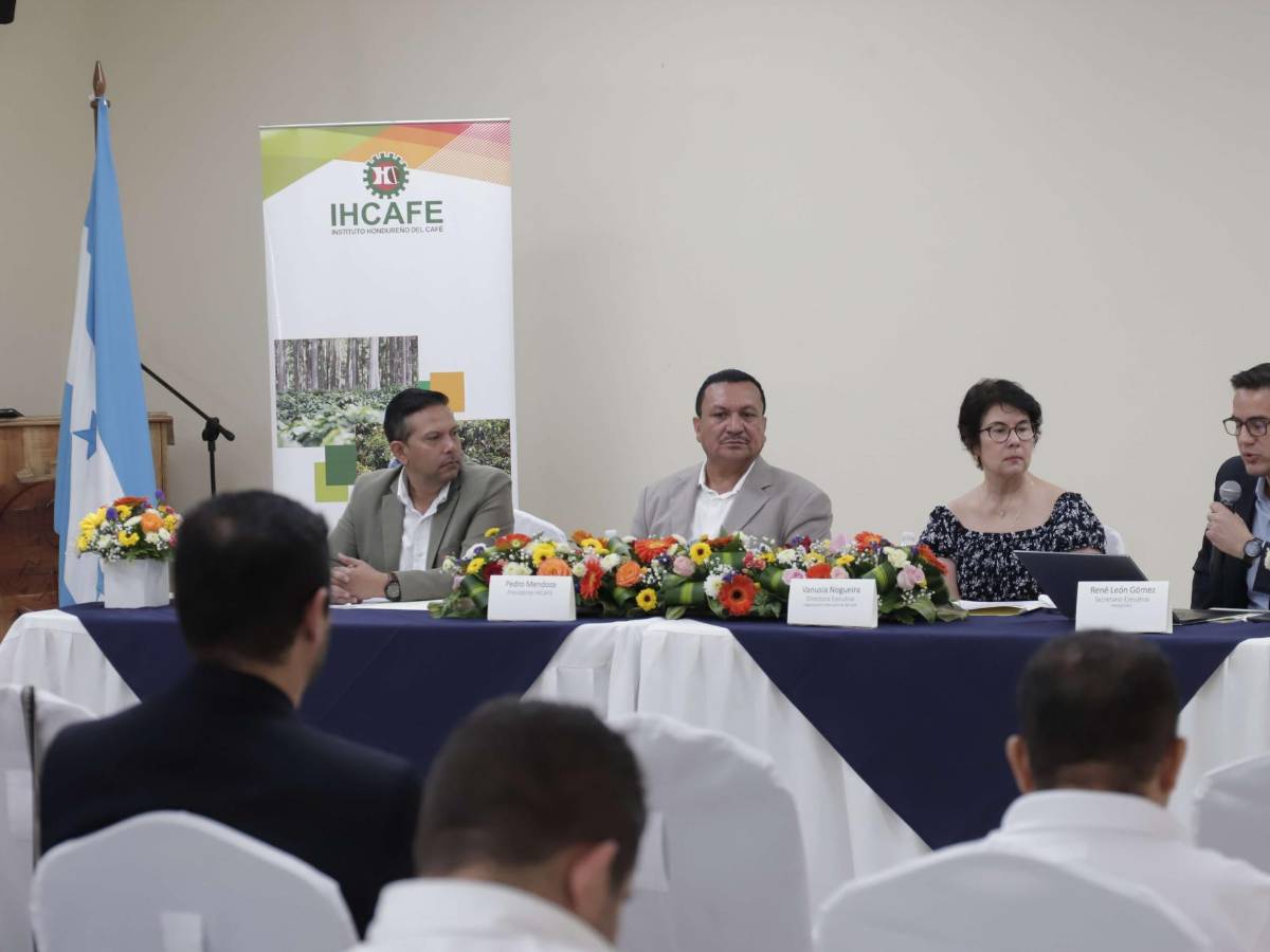 Líderes discuten sostenibilidad económica del sector cafetalero